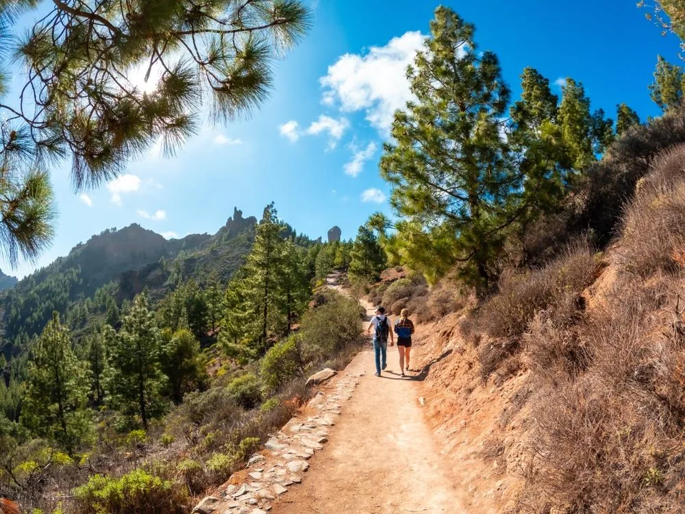 Gran Canaria – med palmami in gorami, 8 dni, direktni polet – galerija 1