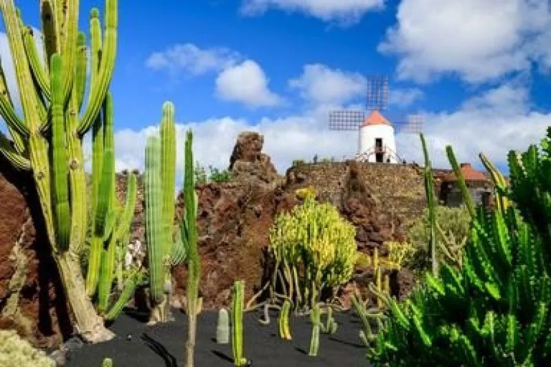 Lanzarote - preplet sonca, vulkanov in puščave