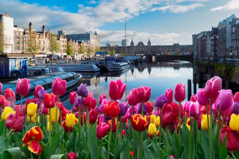Amsterdam in Holandija – galerija 1