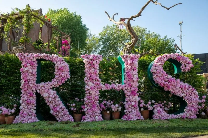 London z možnostjo ogleda RHS Chelsea Flower Show – galerija 2