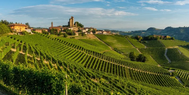 Piemont - pohodništvo med vinogradi v deželi Barola