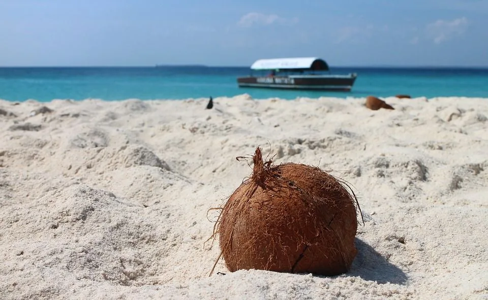 Zanzibar i safari Tanzanija